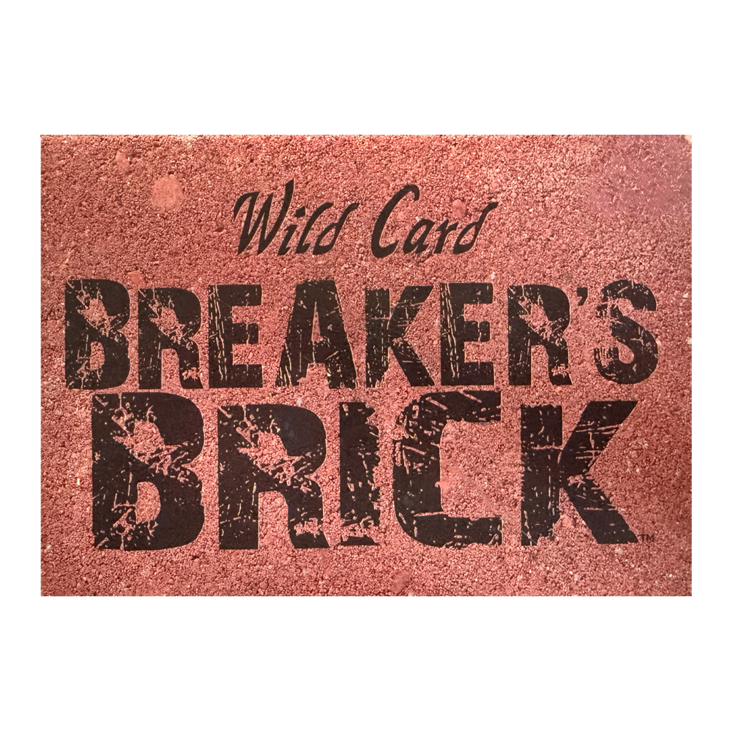 2024 Wild Card Alumination Trump Presidential Edition Breakers Brick Trading Cards